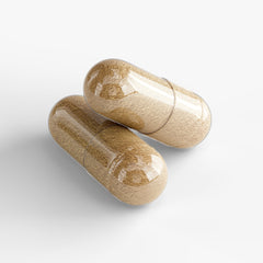 Ayurvedic Support+