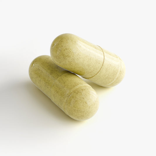 Anti-Aging Support+